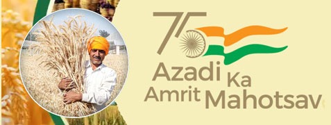 logo of Azadi di Amrit Mahotsav