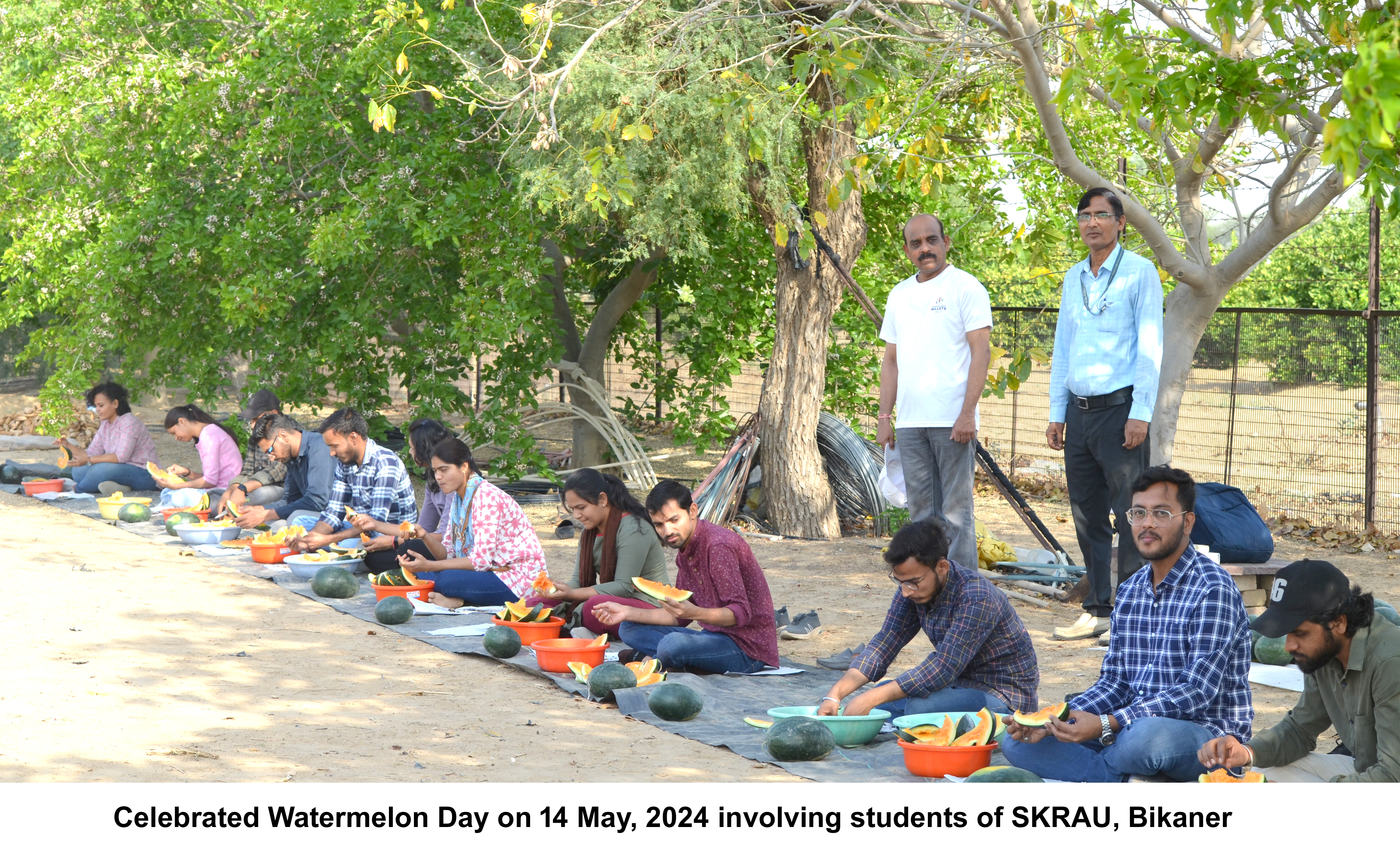 Celebrated Watermelon Day on 14 May, 2024 involving students of SKRAU, Bikaner