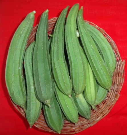 thar karni variety of longmelon